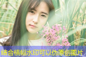 在坷垃的葡萄酒之旅